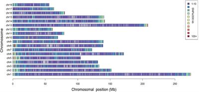 Assessment of Autozygosity Derived From Runs of Homozygosity in Jinhua Pigs Disclosed by Sequencing Data